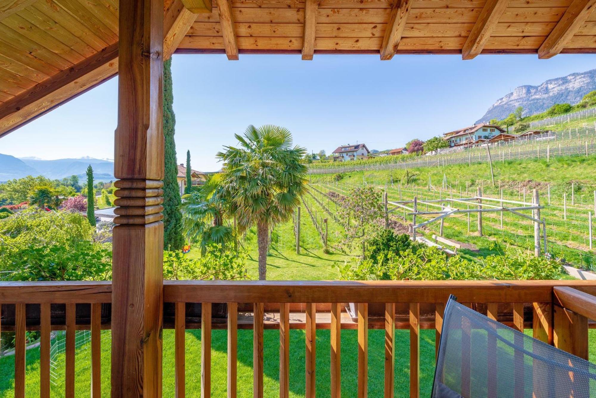 Apartment Gfillhof 3 Appiano Sulla Strada Del Vino